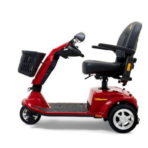 Companion (3-wheel) Full Size